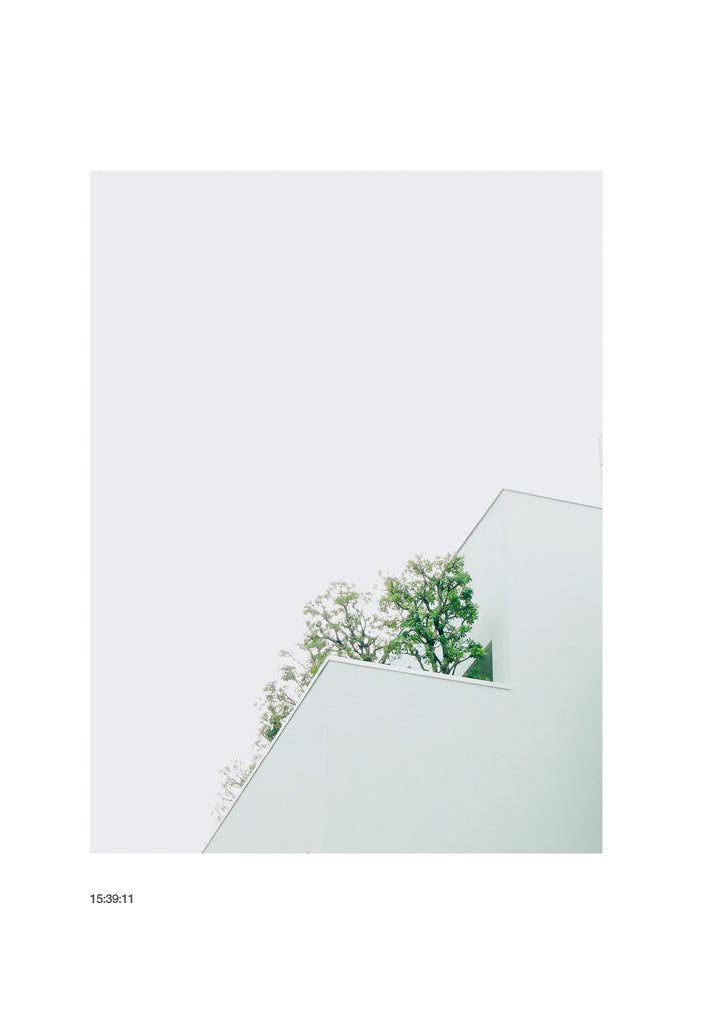 展示写真