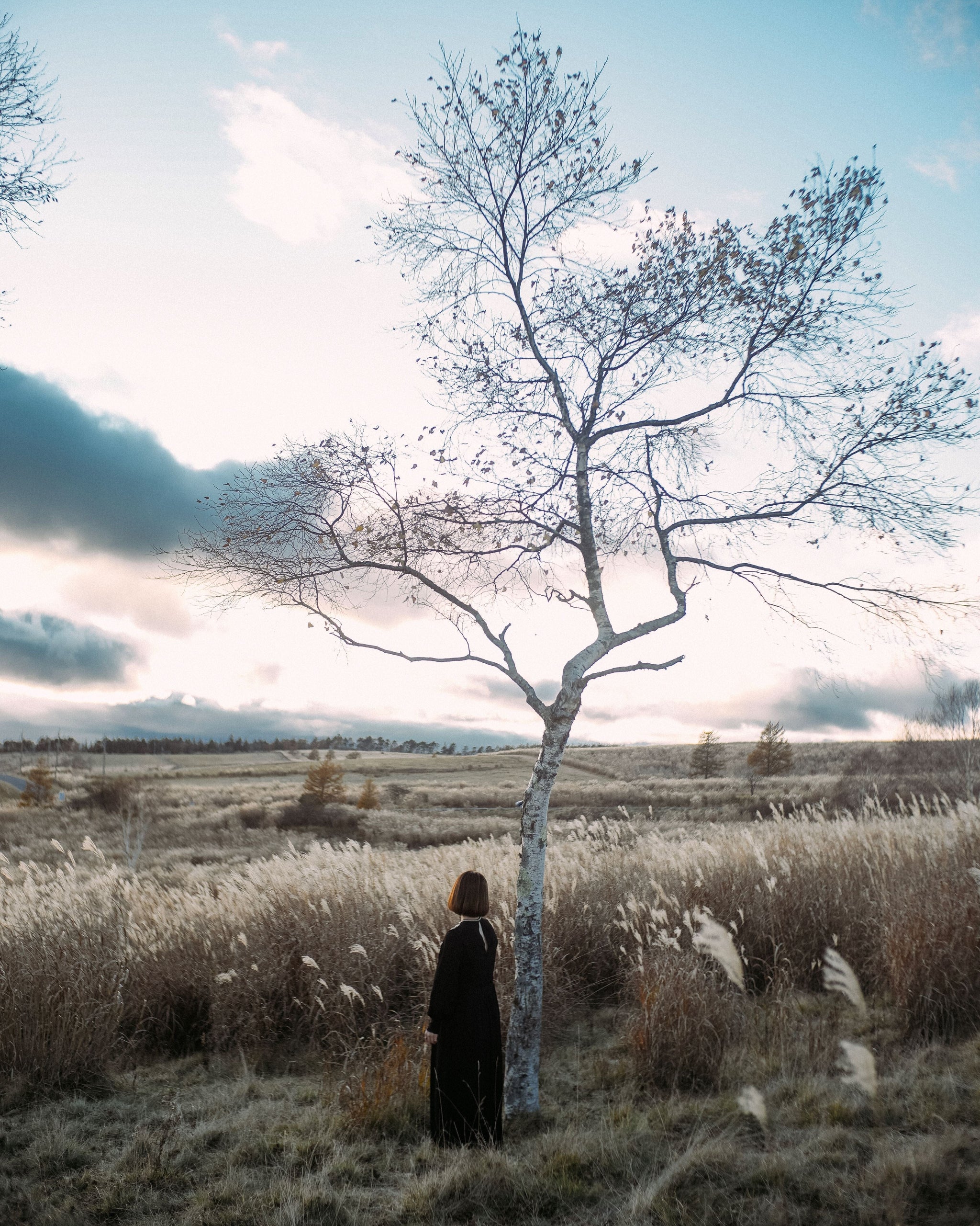 加藤 光 Lightroom プリセット 「Luminous Collection」 – CURBON