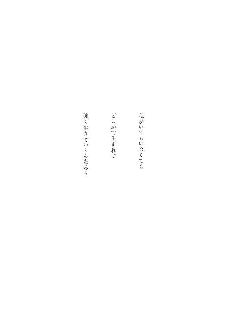 展示写真