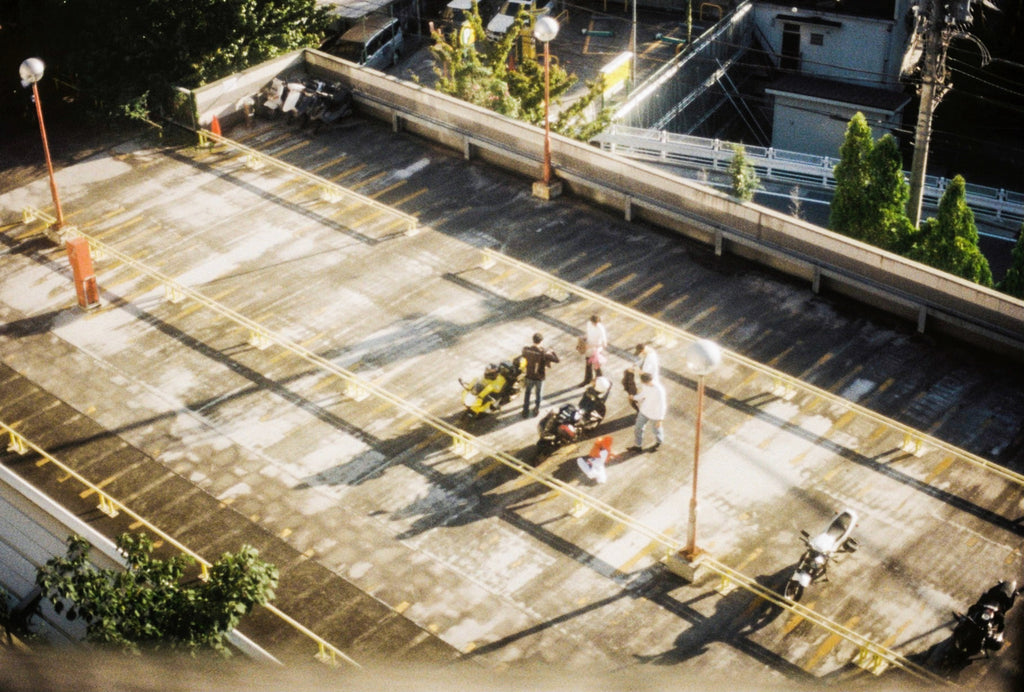 展示写真