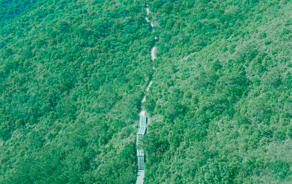 展示写真