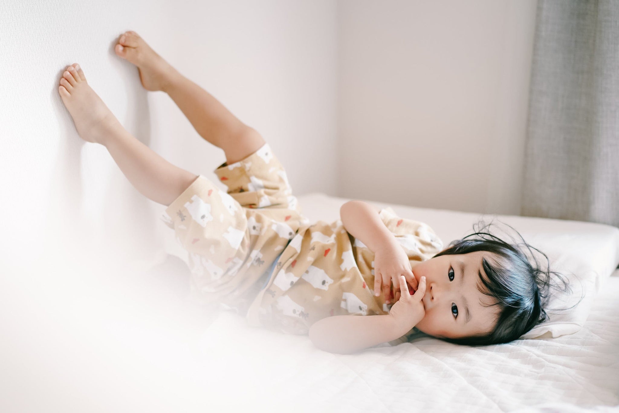 DSC08610_1_2048x.jpg?v=1716512550