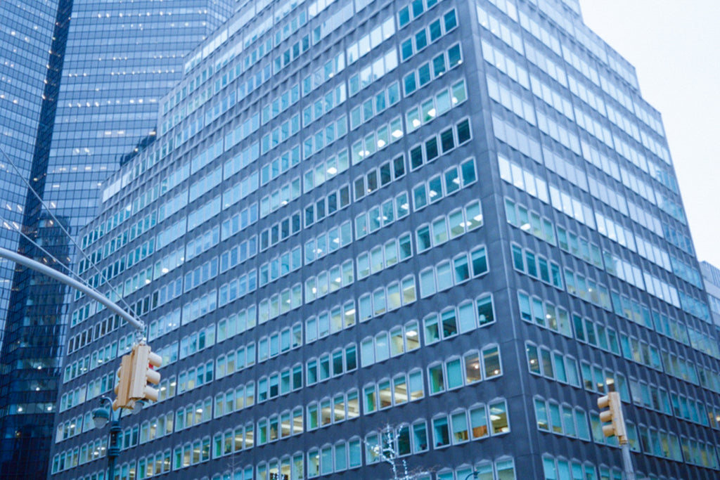 展示写真