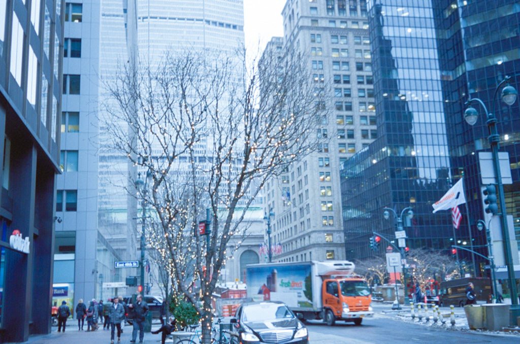 展示写真