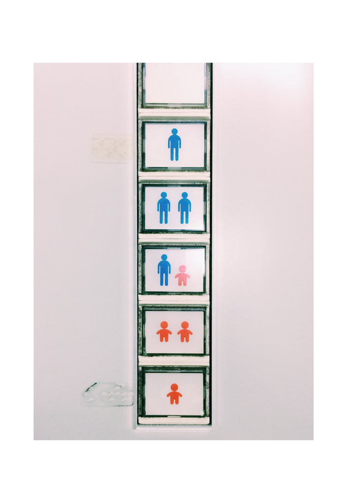 展示写真