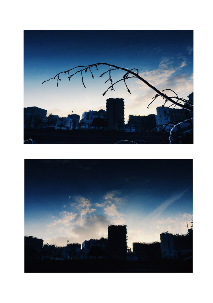 展示写真
