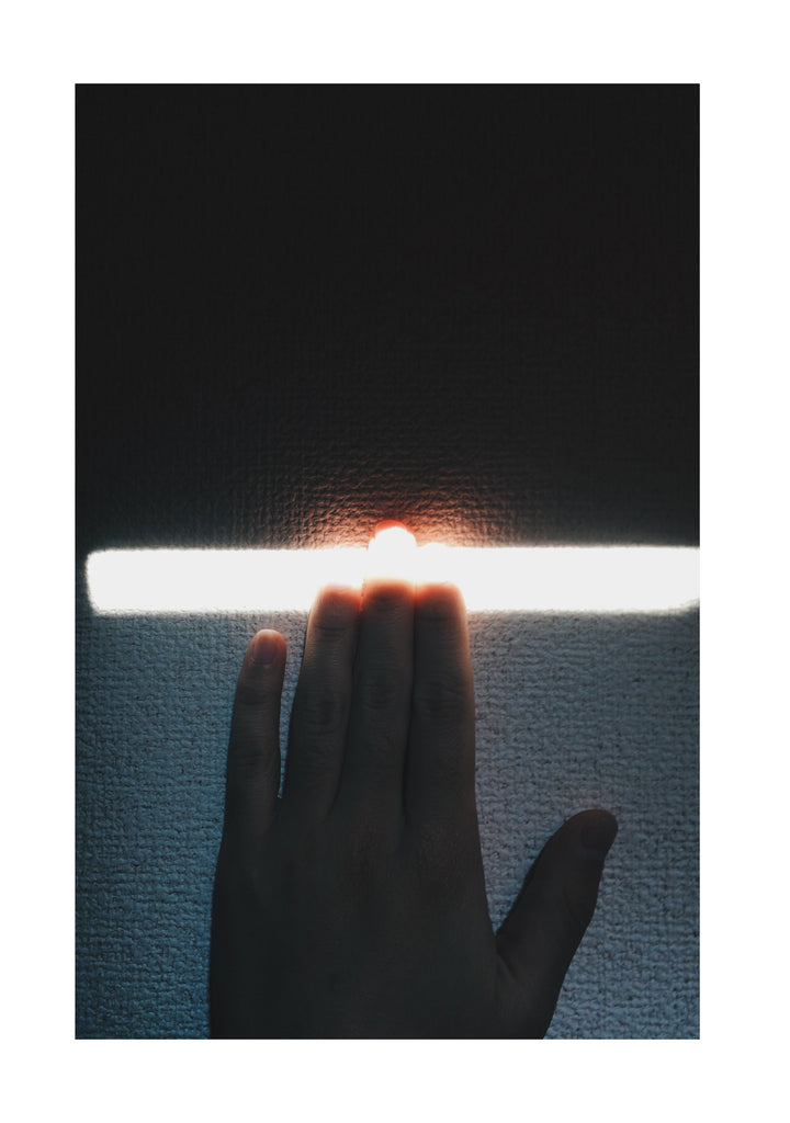 展示写真