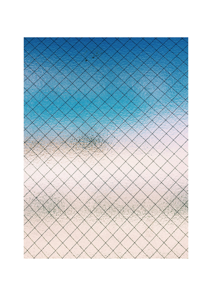 展示写真