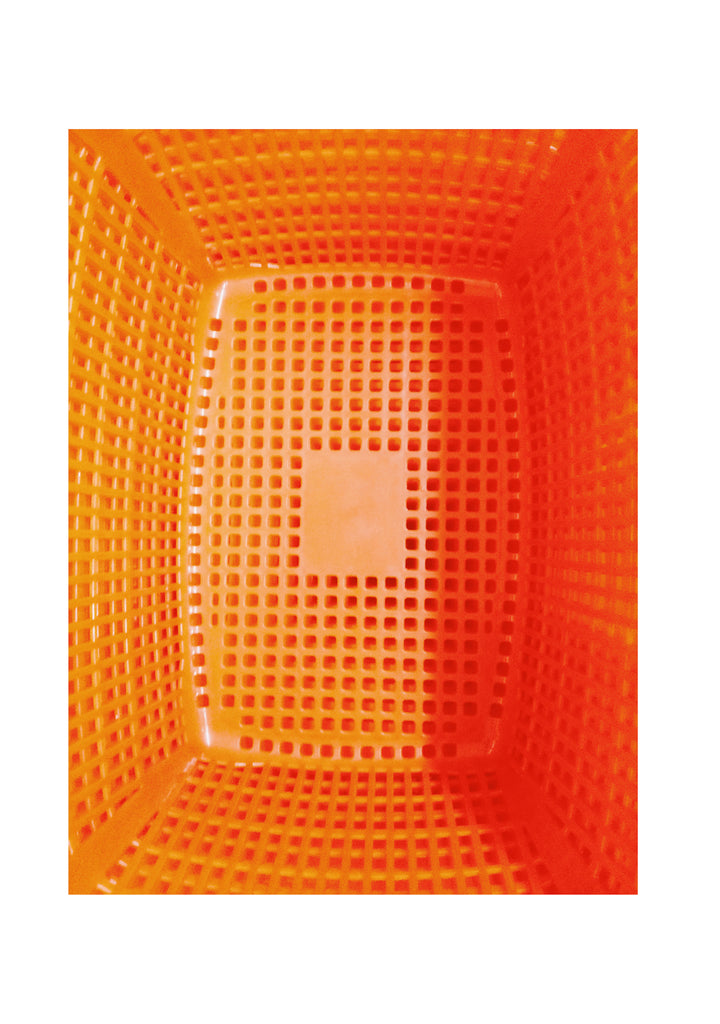 展示写真