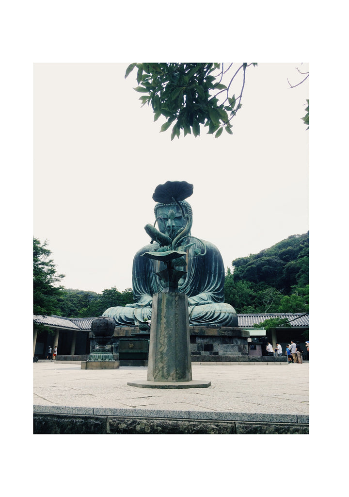 展示写真
