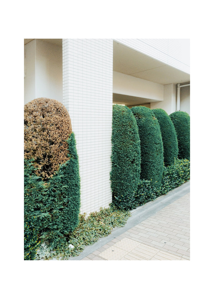 展示写真