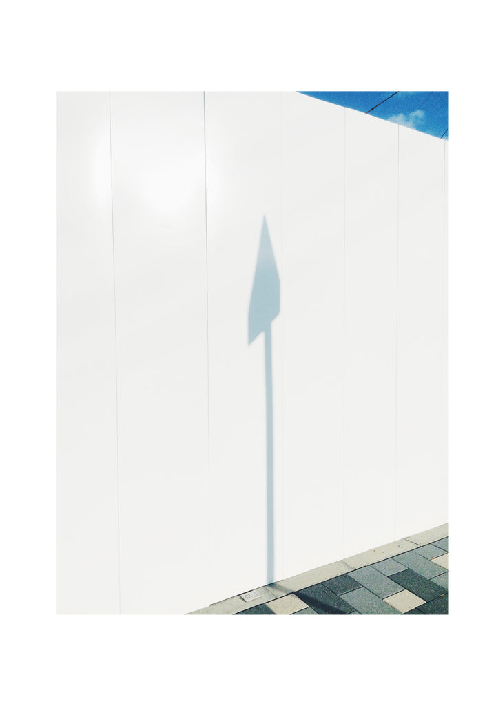 展示写真