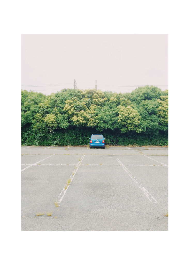 展示写真