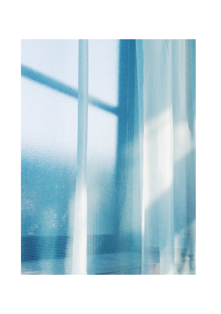 展示写真