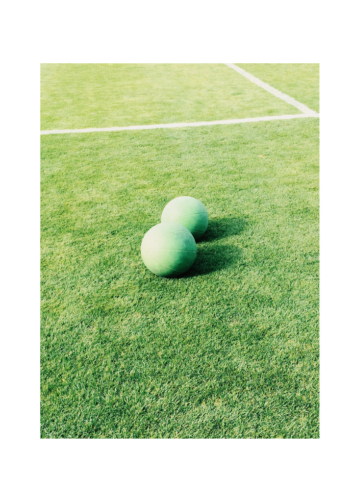 展示写真