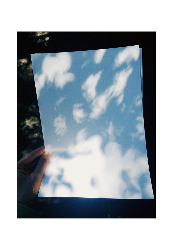 展示写真
