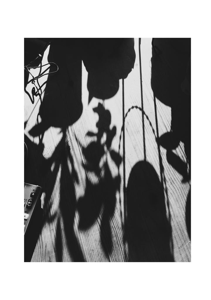展示写真