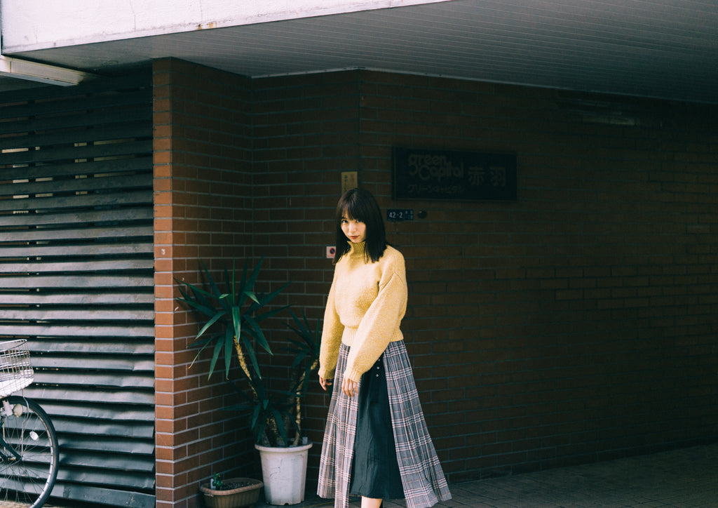 展示写真