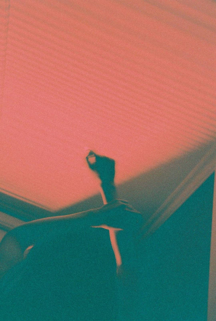 展示写真