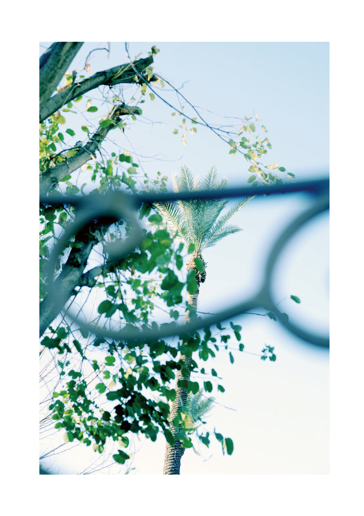 展示写真