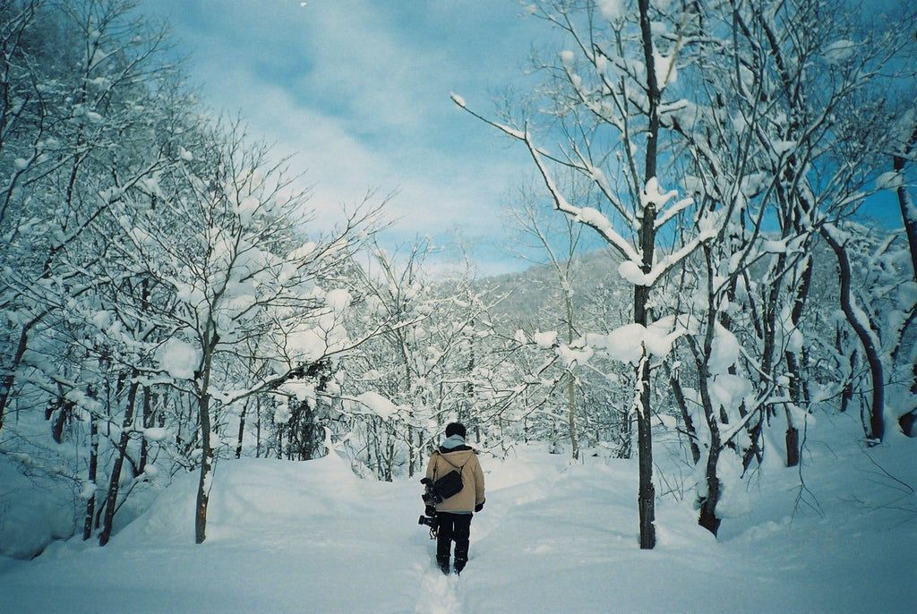 展示写真