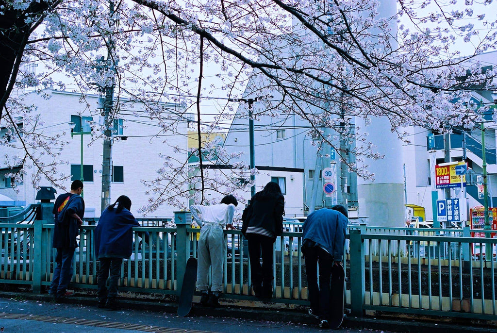 展示写真