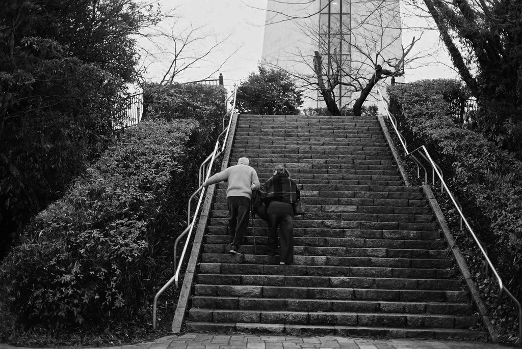展示写真