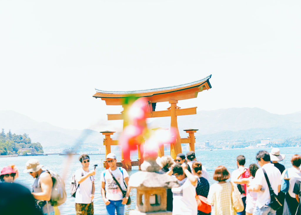 展示写真