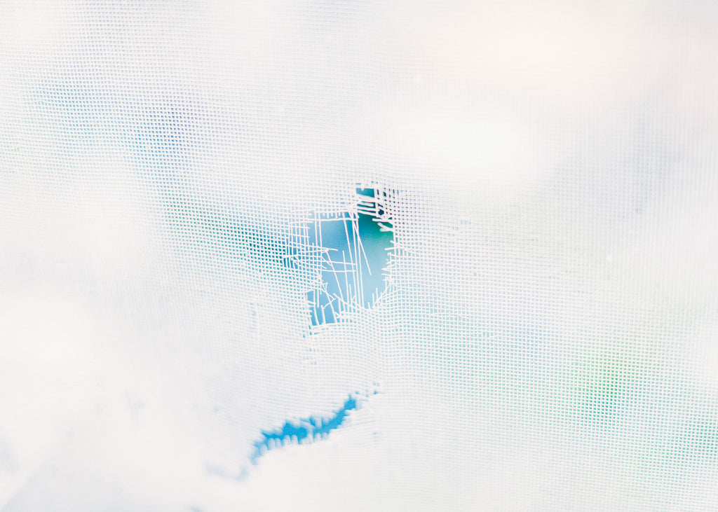 展示写真