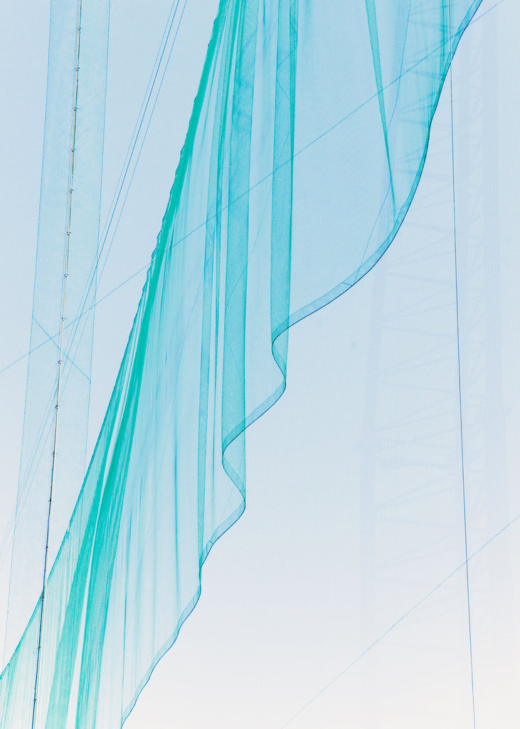 展示写真