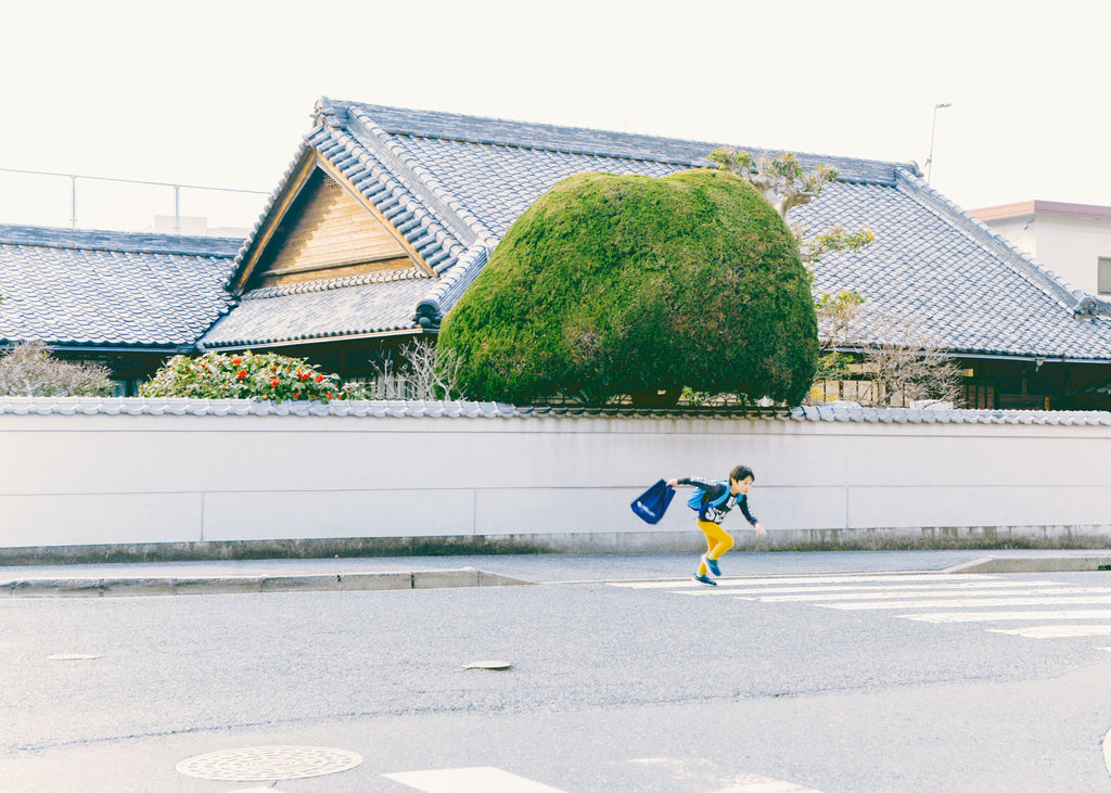 展示写真