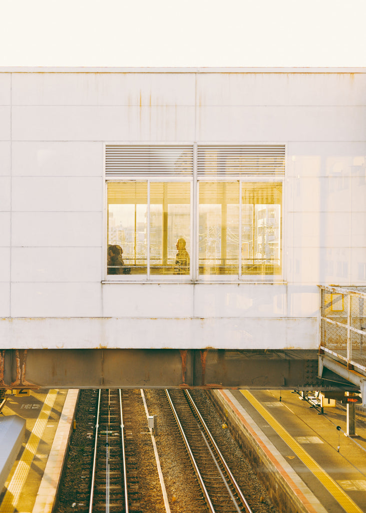 展示写真
