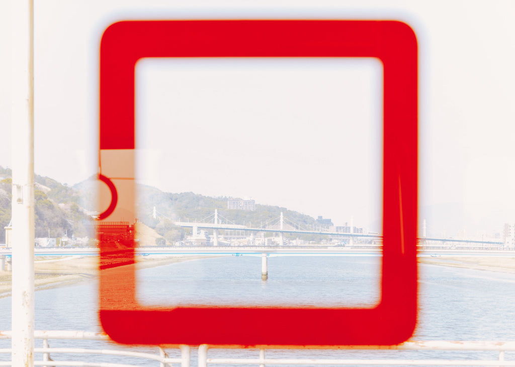 展示写真