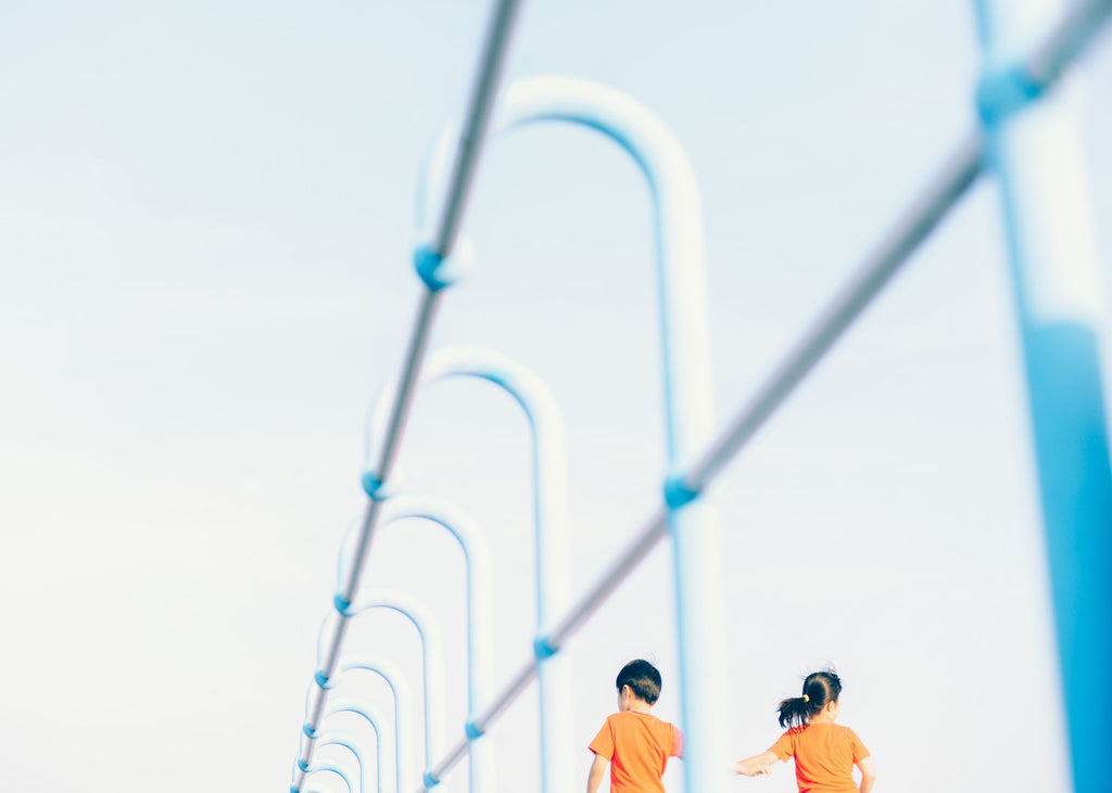 展示写真