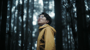 LUT kaiwatanabe「THE MATERIALS」