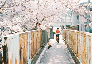 桜が咲いている木々の近くの橋から身を乗り出す女性