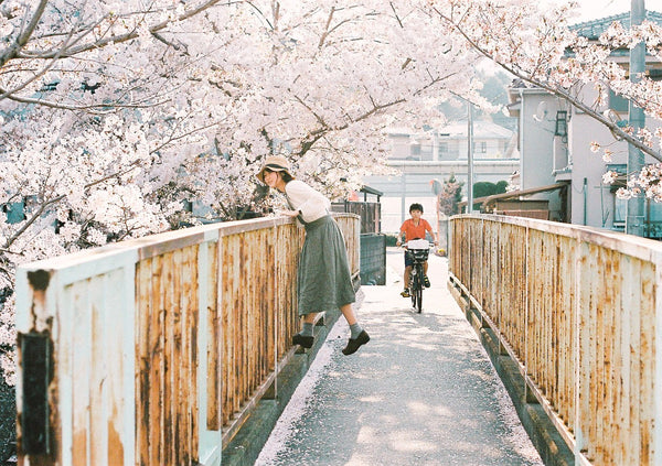 toncolithoページ★写真の3セット toncolithoページ☆写真の3セット toncolithoページ☆写真の3
