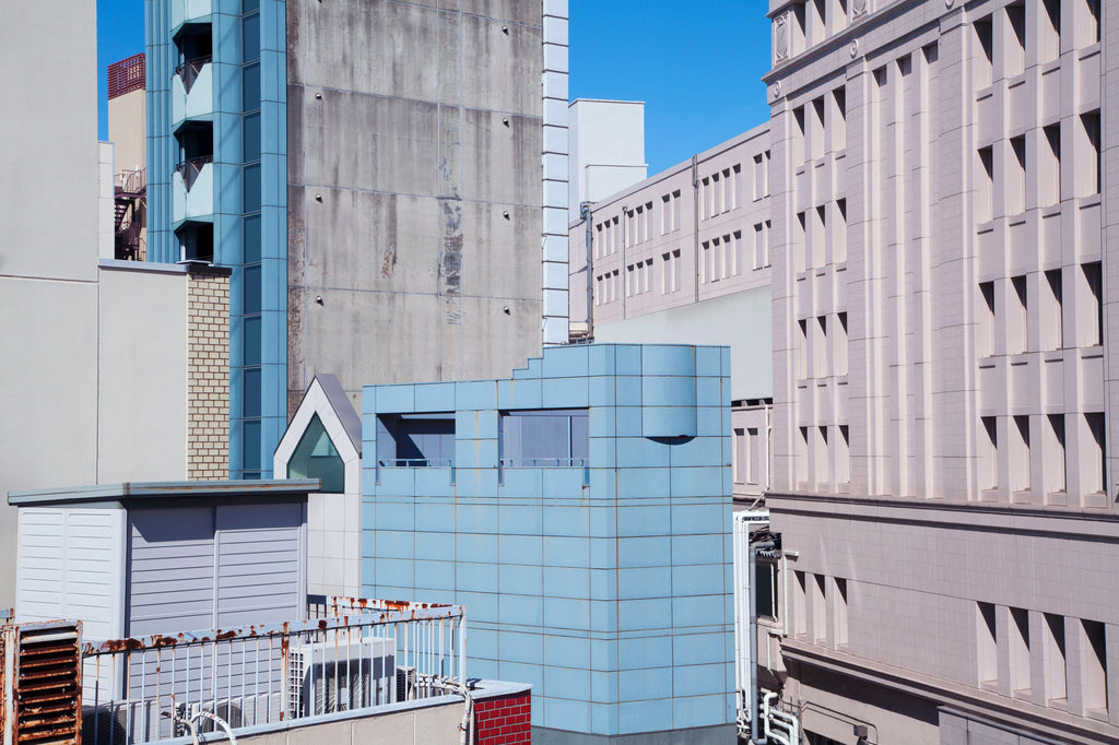 展示写真
