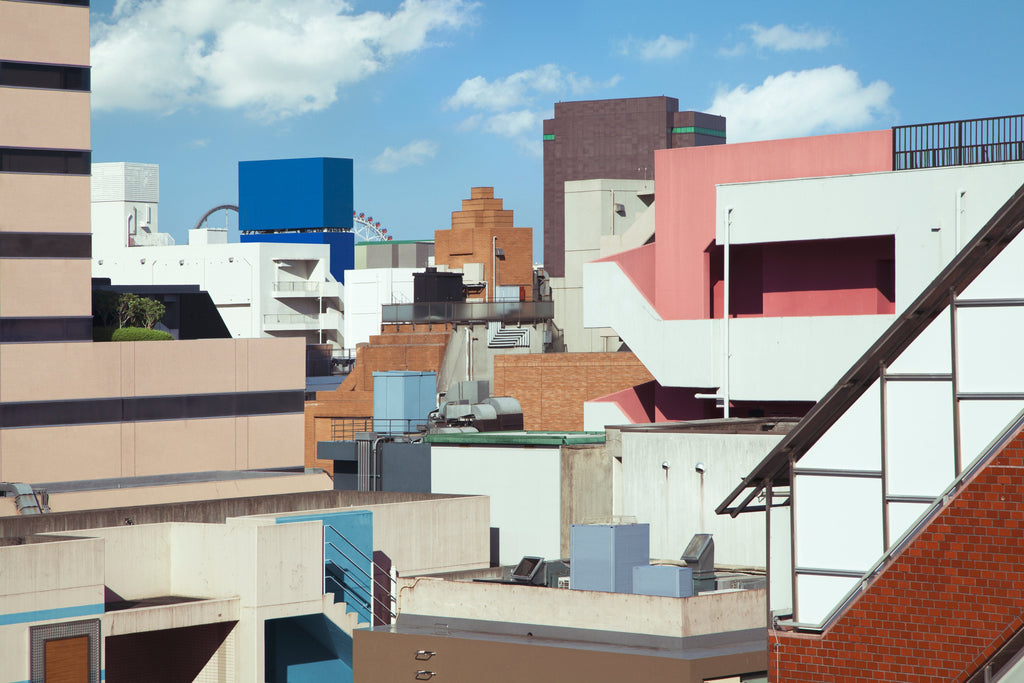 展示写真