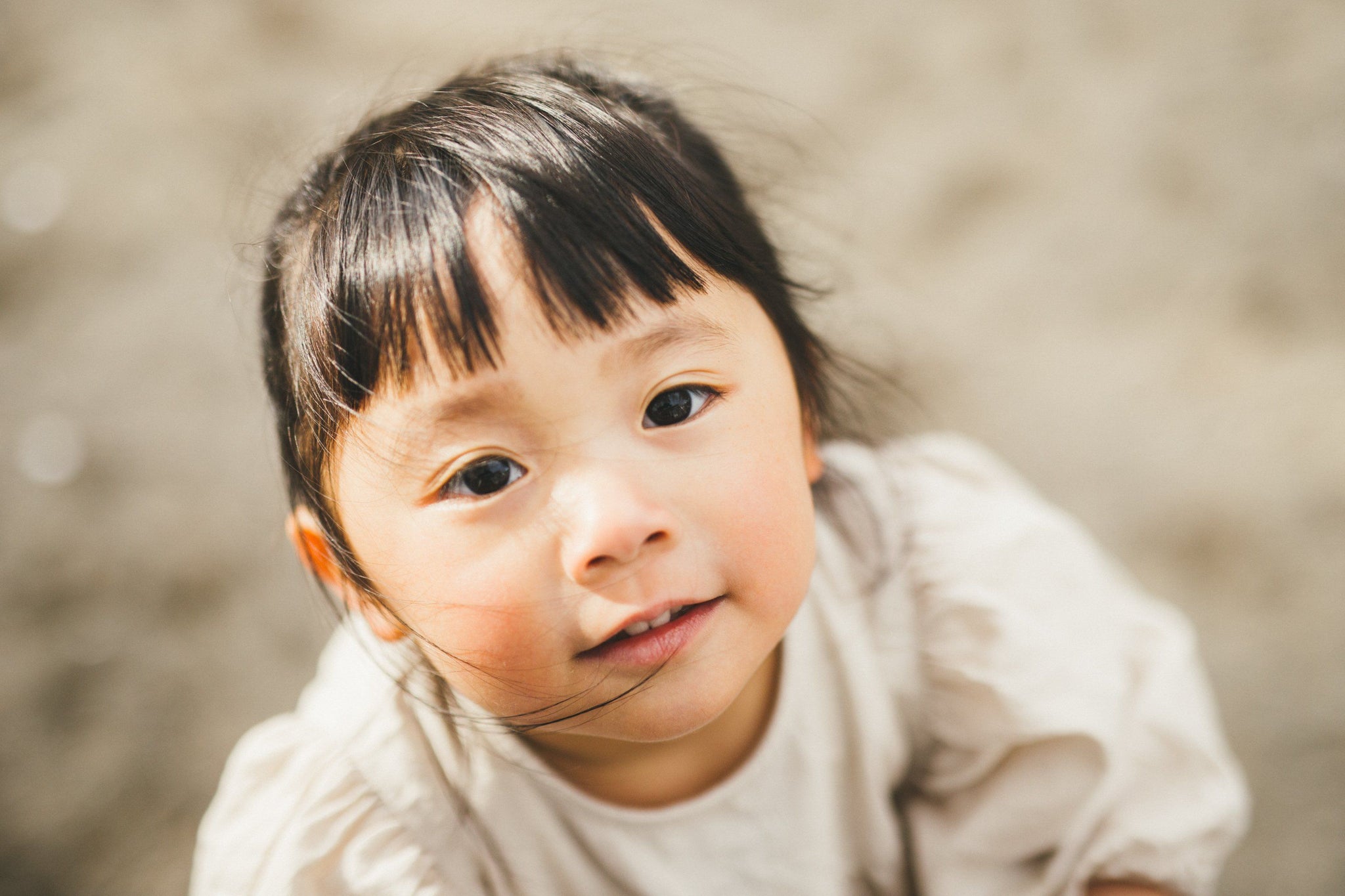 01_2048x.jpg?v=1575015398