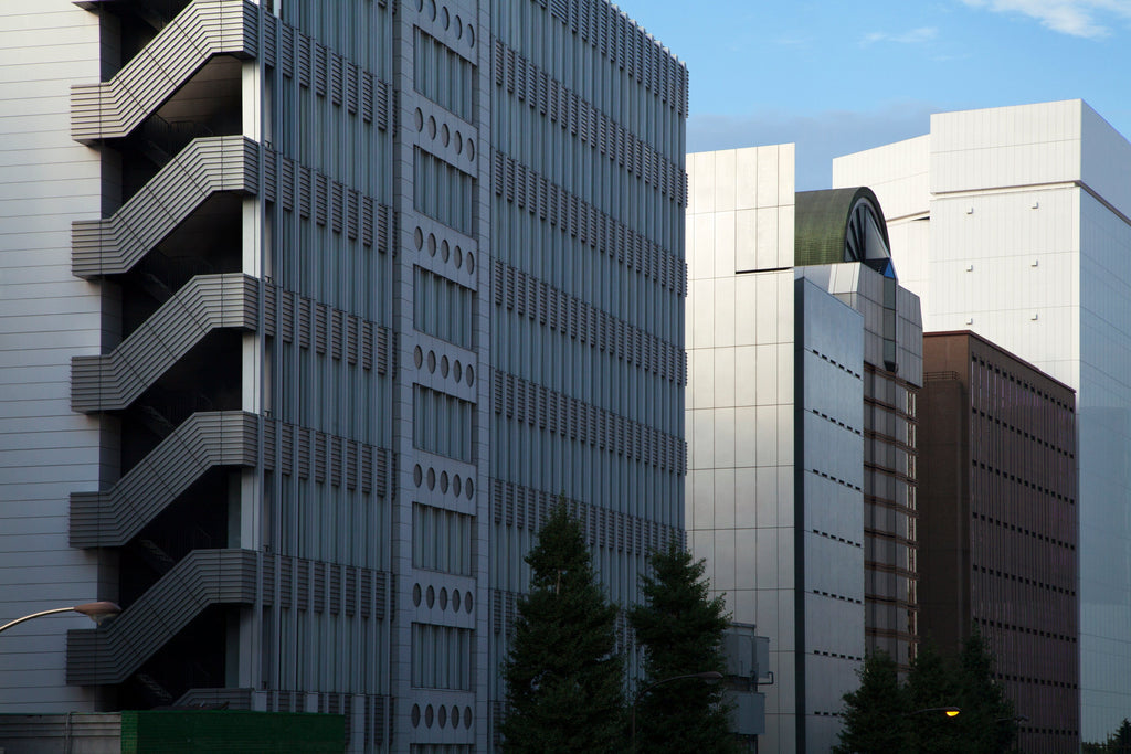 展示写真