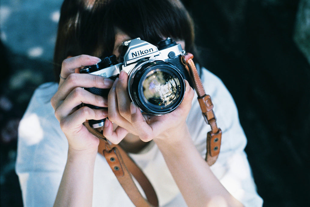 展示写真