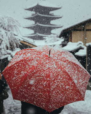 Riki Shinagawa｜オンライン写真教室「奥深いストリートフォトの作り方」