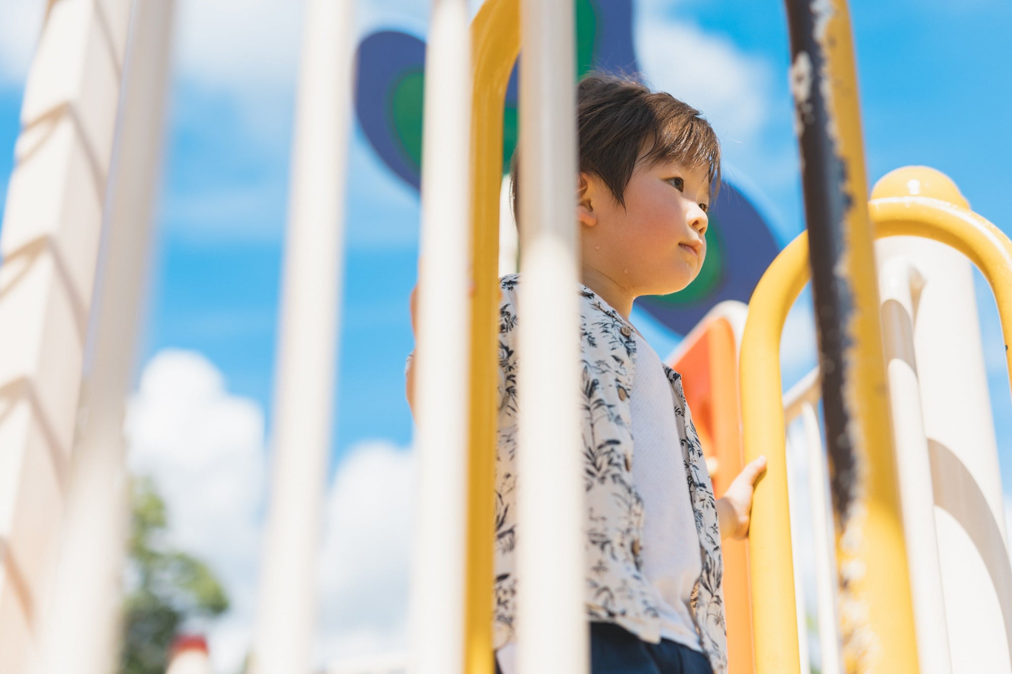 IMG_9989_2048x.jpg?v=1661540588