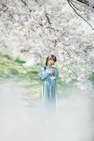 SAKURA MAP