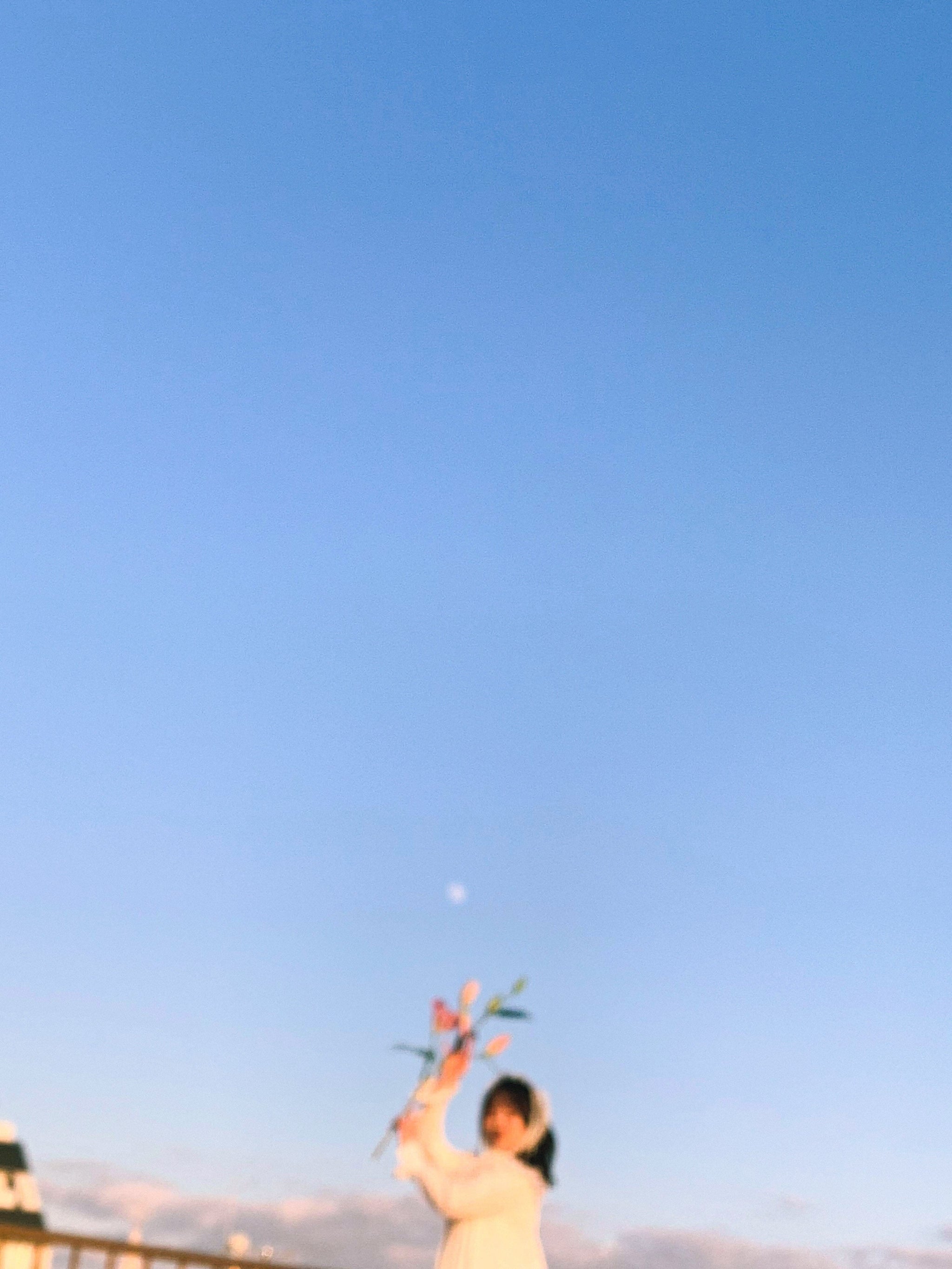 リトグラフ　一輪の花　クロード　コムレ 花綴 -hanatsuzuri- | 島根県の日本酒 | クラフト酒・日本酒の通販なら