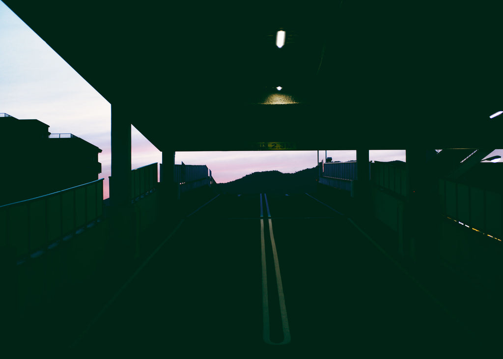 展示写真